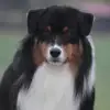 Albstones profile