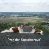 von der Kapuzineraue profile