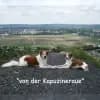 von der Kapuzineraue profile