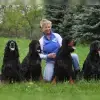 Fieldtalk's profile