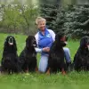 Fieldtalk's profile