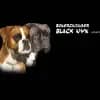 von Black Nyx profile