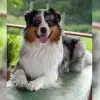 Best Of Luck profile