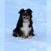 Nothing Is Impossible profile
