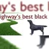 Highway’s best black profile