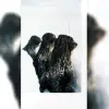van Wuff & CoKG profile