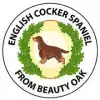 from Beauty Oak profile