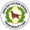 from Beauty Oak profile