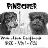 vom alten Kraftwerk profile