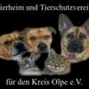 Tierschutzverein für den Kreis Olpe e.V. Logo