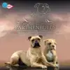 Parthenbulls profile