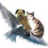 Tierheim Seligenstadt Logo