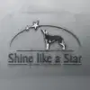 shine like a Star profile