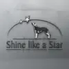 shine like a Star profile