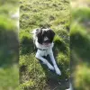 vom Neuslesgrund profile