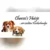 Chacco’s Huisje profile