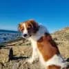 vom Mühbrooker Meer profile