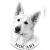 Nocari profile