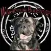 Winchester’s Bullmastiffs profile