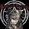 Winchester’s Bullmastiffs profile