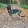 von Osthessen profile