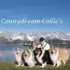 Connydream profile