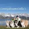 Connydream profile