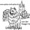 von der Haager Schlossturmspitze profile
