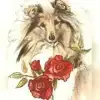 Rose from Dalriada profile
