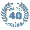 German Dandies' profile