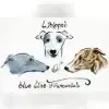 of blue line franconia’s profile