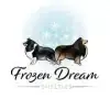Frozen Dream profile