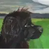 Bear vun de Knabshus profile