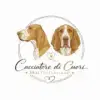 Cacciatore di cuori Bracco Italiano profile