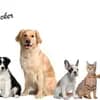 Tierheim Hersbruck Logo