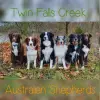 Twin Falls Creek profile