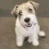 Fabulous Jack profile