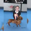 Tausendfreund's profile