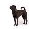 BAR’nim Wrinkle’s profile