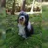 vom Zusamblick profile