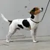 vom Brönnhof profile