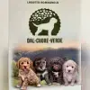 dal cuore verde profile
