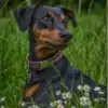 Am Kocherufer profile