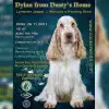 From Dusty's Home profile