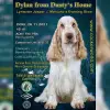 From Dusty's Home profile