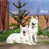 vom Greif und Nesselblatt profile