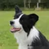 Wind und Wellen profile