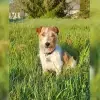 von der Vogtlandbande profile
