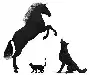 Tierschutzverein Arnstadt e.V. Logo