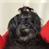 vom Beeketal profile